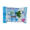Miniso Refreshing Cooling Wet Wipes 10 Sheets(Ice Sport)
