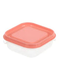Food Container 4PCS
