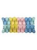 Colorful collection Laundry Clips (12 pcs)
